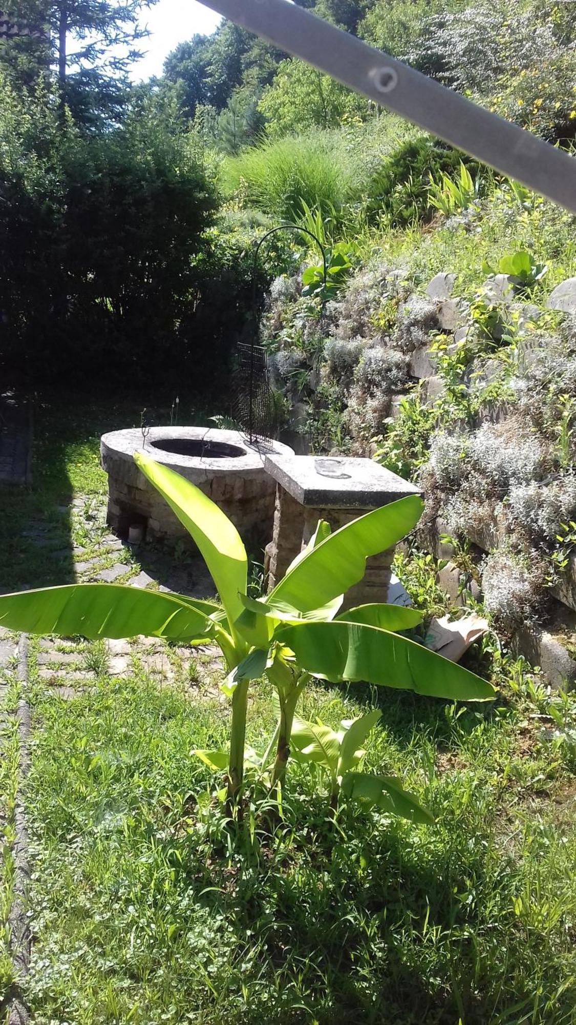 Mecseki Farkaslak Vila Magyarhertelend Exterior foto